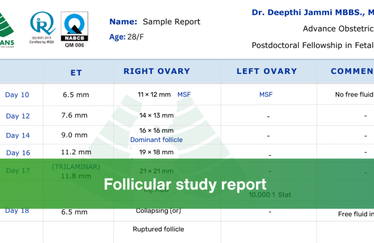 Follicular study report