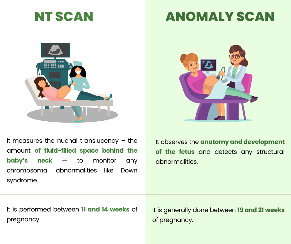 Nt scan and anomaly scan