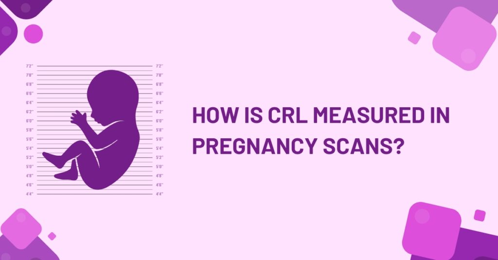 how is crl measured in pregnancy scans