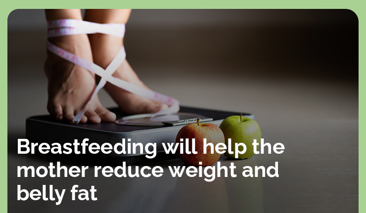 Breastfeeding will help mother to reduce belly