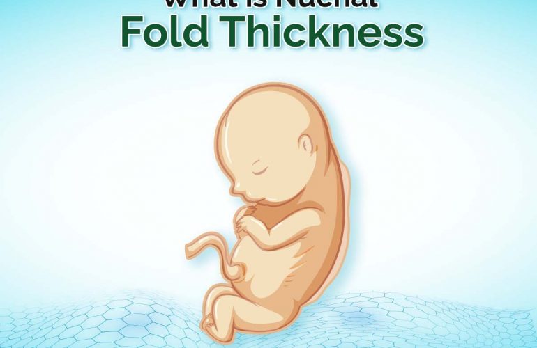 What is Nuchal Fold Thickness