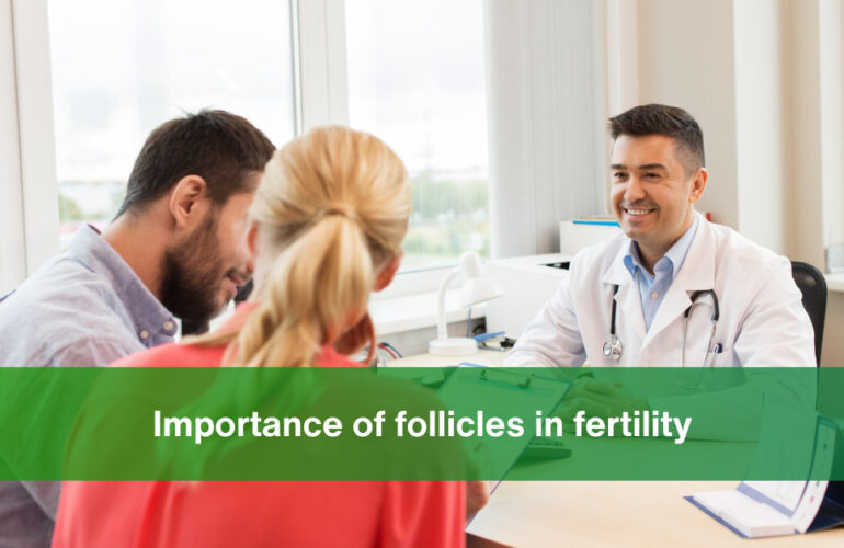 importance of follicles in fertility