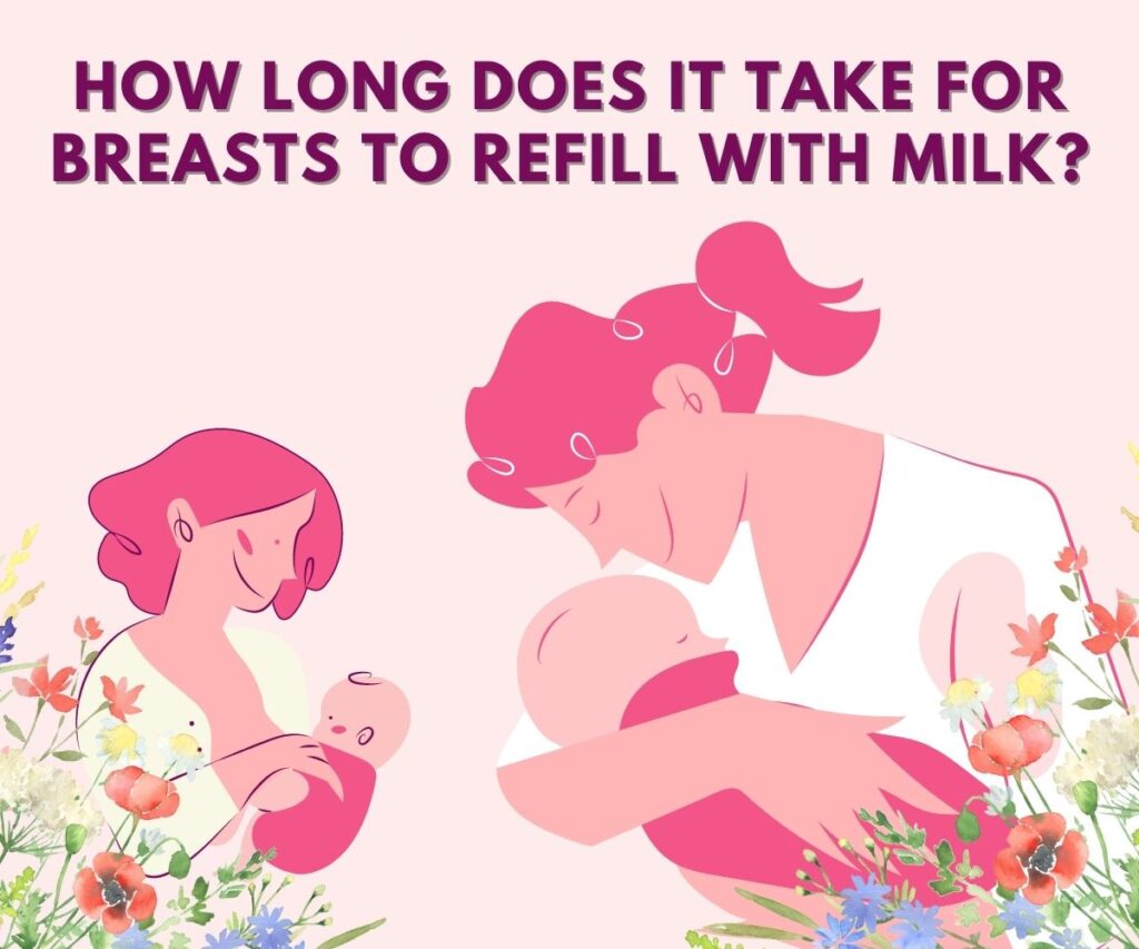 breasts to refill with milk