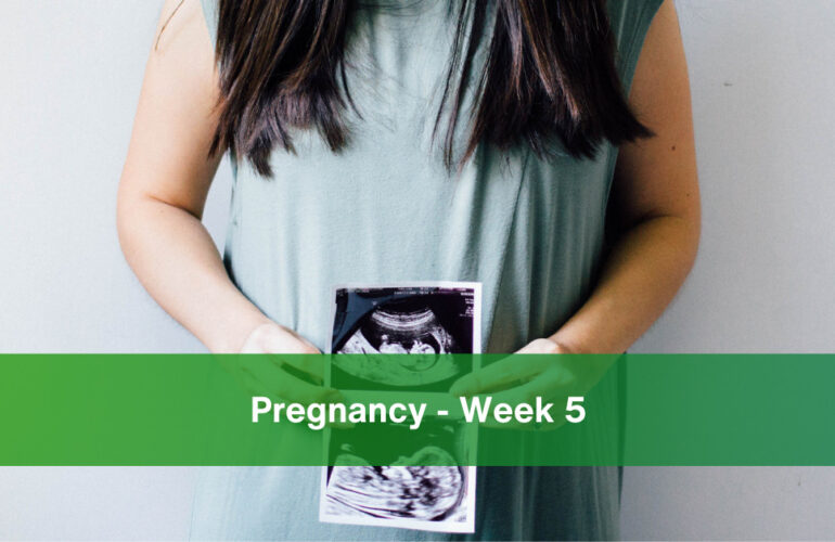 pregnancy week 5