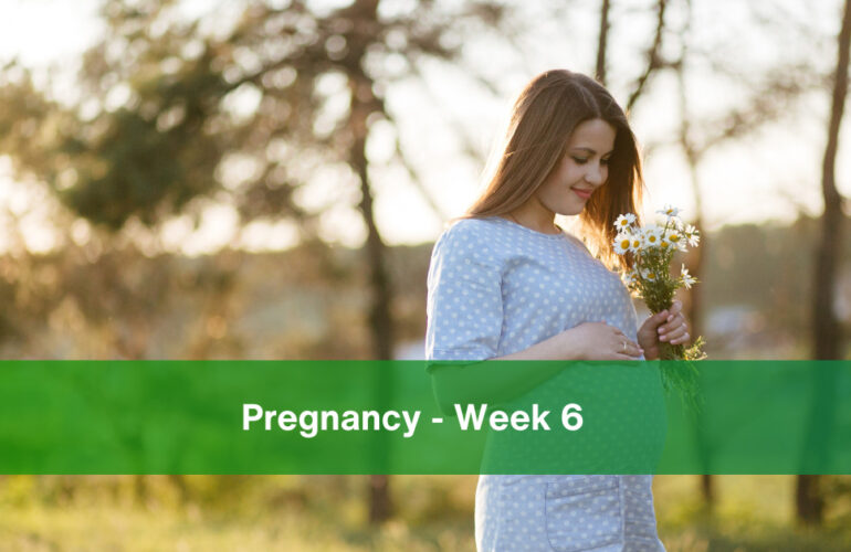Pregnancy week 6