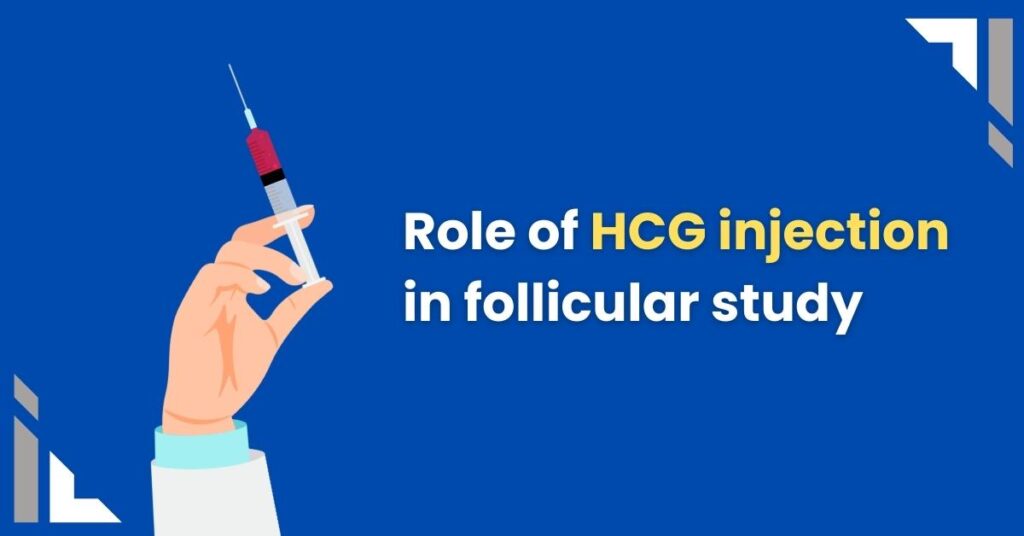 hcg injection in follicular study